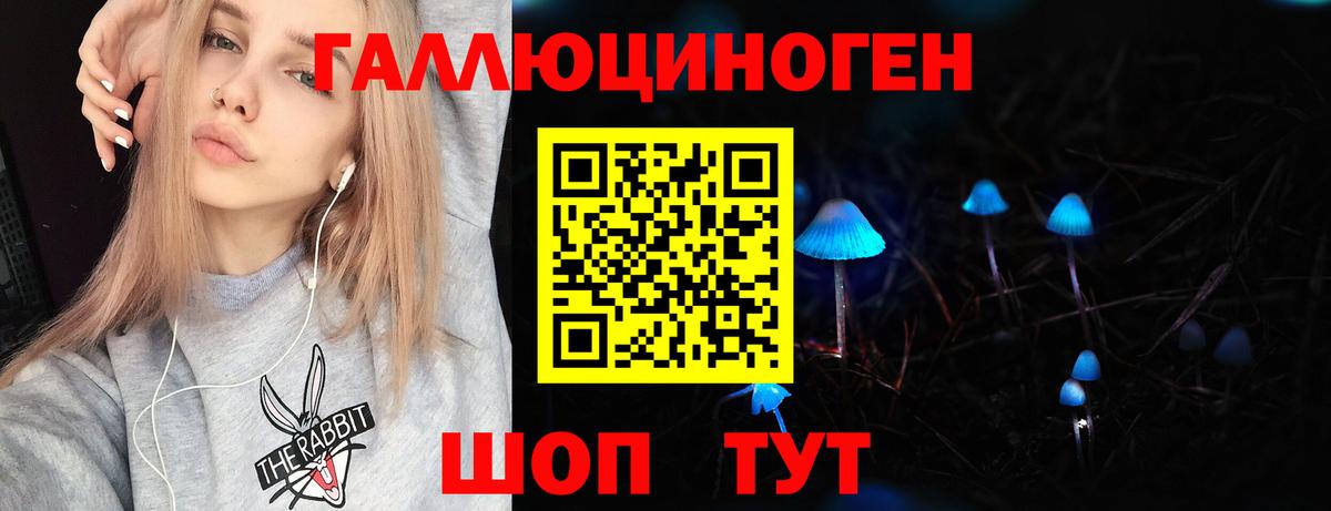 Карачаевск  Псилоцибиновые грибы ЛСД  где продают наркотики  Галлюциногенные грибы Magic Shrooms  Вход с VPN 